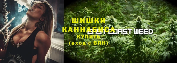 дживик Каменногорск