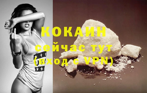 дживик Каменногорск