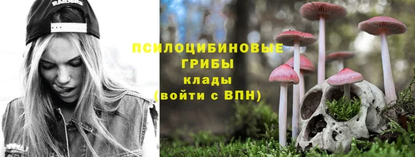дживик Каменногорск
