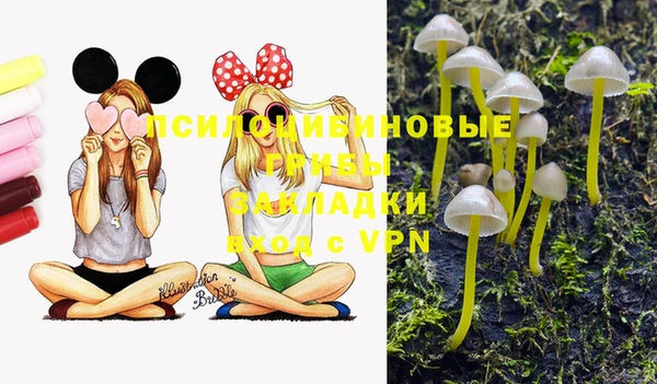 дживик Каменногорск