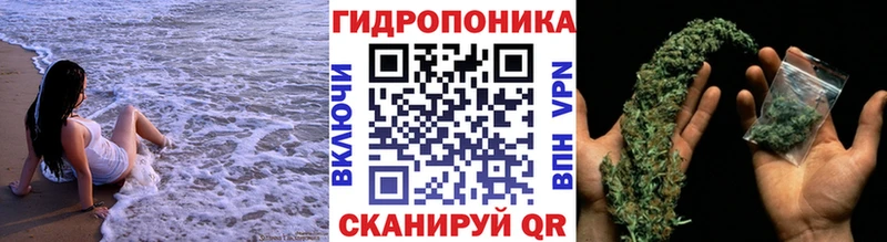 МАРИХУАНА Ganja  Свирск 